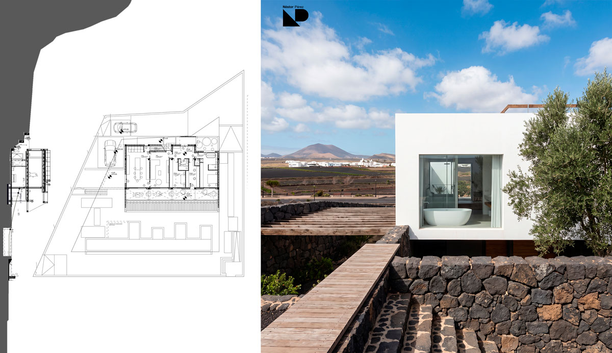 Mancha Blanca
